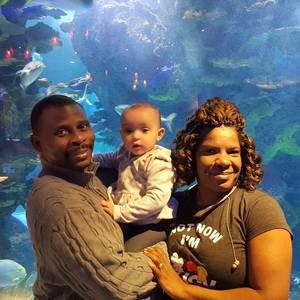 Meet your Posher, William